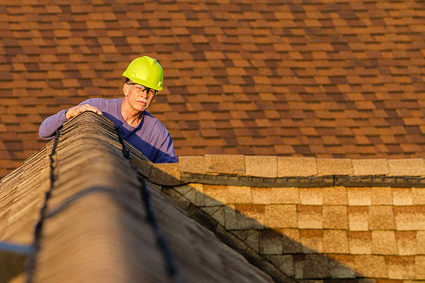 Professional Roofing Contractor in Mount Zion, IL