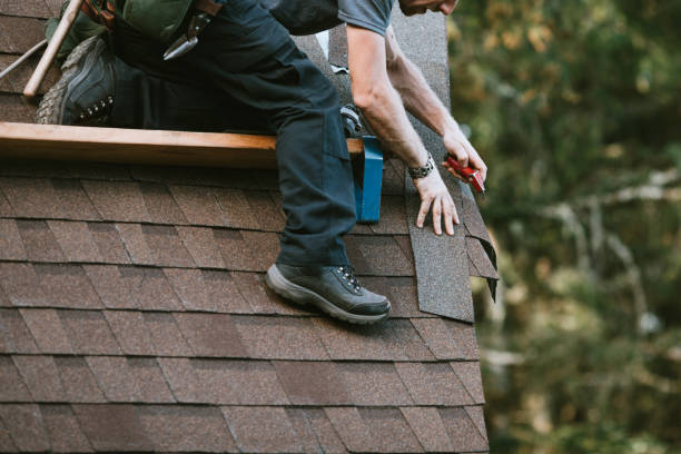 Best Roof Repair Services  in Mount Zion, IL